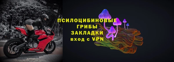 крисы Магас