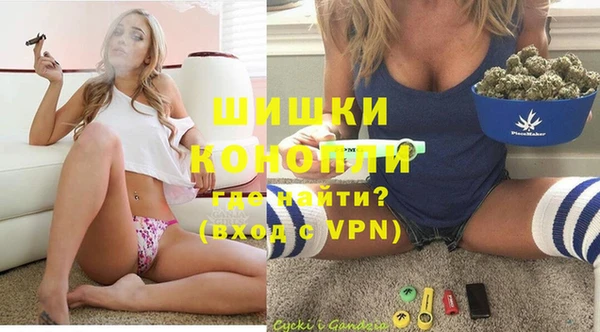 крисы Магас