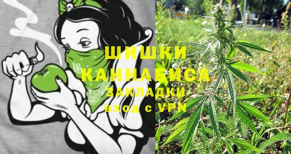 хмурый Лиски