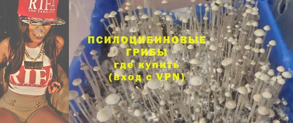 хмурый Лиски