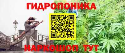 стафф Гусиноозёрск