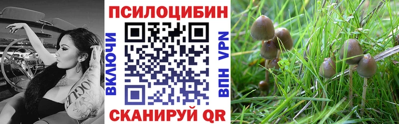 ОМГ ОМГ как зайти  Фролово  Псилоцибиновые грибы прущие грибы 