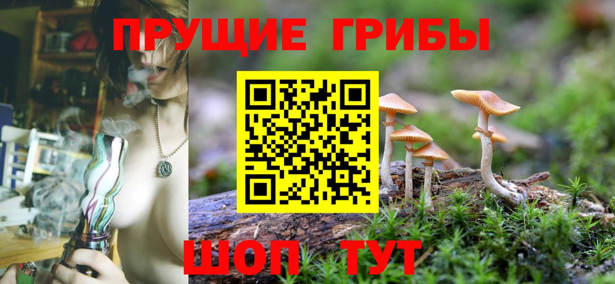 Галлюциногенные грибы Cubensis  Вход с VPN  Псилоцибиновые грибы Psilocybe  Фролово 