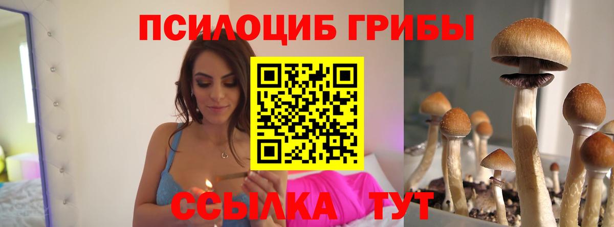 Псилоцибиновые грибы мицелий Фролово