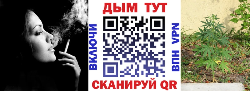 Шишки марихуана THC 21% Фролово